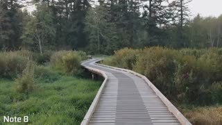 مقایسه دوربین آیفون 10 در برابر گلکسی نوت 8