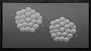 ایده گرفتن از مارمولک در صنعت و فضا