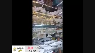 فروشگاه الاهی