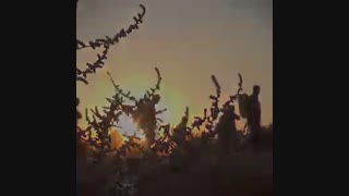 اربعین با مداحی زیبای مهدی رسولی