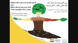 معرفی نقاشی سال جهانی خاک، ارسالی به سازمان FAO