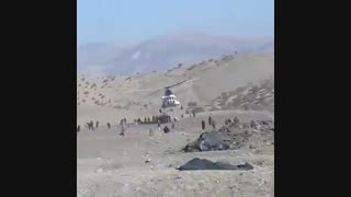 آوردن چادربرای زلزله زدگان