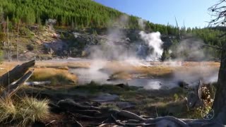 نمایی از پارک ملی یلواستون آمریکا