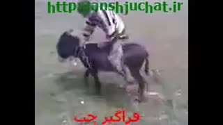 خربازی به روش عربی خخخ