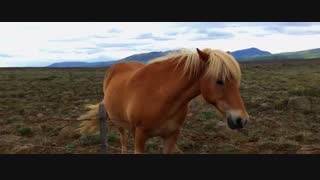 زیبایی ها  ایسلند در دو دقیقه