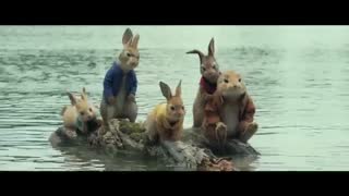 تریلر دوم  انیمیشن بسیار زیبایی Peter Rabbit 2018