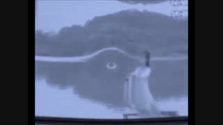 مستند علمی "نواهای مرگ" درباره موسیقی [نسخه ویرایش شده]