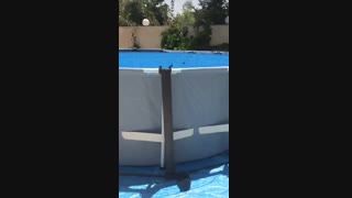 استخر پیش ساخته - Topintex