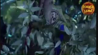 دانلود قسمت 287 سریال جودا و اکبر دوبله فارسی