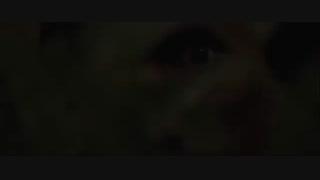 apocalypto 2006 trailer