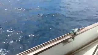 ماهیگیری در دریا