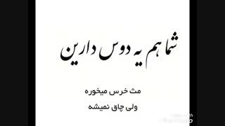 من یکی دارم... توضیحات