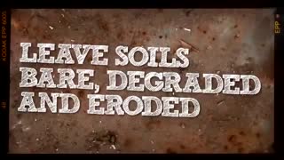 World soil day 2015