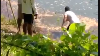 اموزش ماهیگیری کپور بزرگ