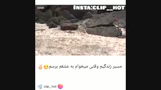 مسیر زیندگی من وقتی میخوام برم پیش وارون=))