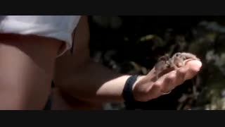 دانلود فیلم ترسناک مار Serpent 2017