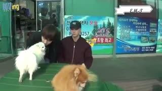 GOT7 vs animals ویدیویی از رابطه ی فوق العاده اعضای گات سون با حیوانات ، بی نهایت خنده دار ، جکسون رو که دیگه نگوو^-^