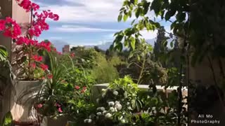 زمان گریز ابرها ( تایم لپس) زیبا در گلستان