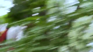 فسمت 5 روباه نه دم