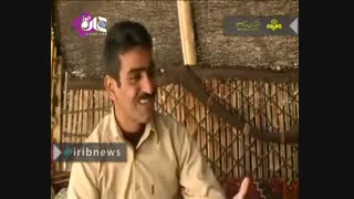 روستانشین میلیاردر در جواب ترامپ دلار را تحریم کرد