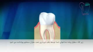 پوسیدگی دندان و افزایش سن | سیمادنت