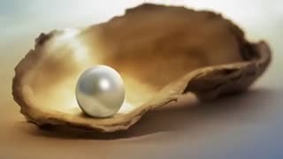 رگ تاک : شاعر حسن اسدی "شبدیز با آوای زهره رضایی