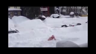 آموزش شنا در برف ...  جرات داری امتحان کن
