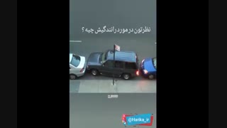 راننده ی حرفه ای (قابل توجه خانوما)