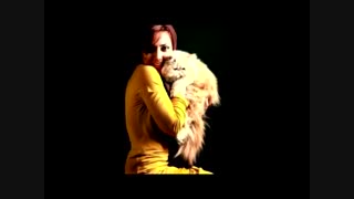 فریم17/همزیستی با حیوانات از مهران مدیری تا لیدی گاگا