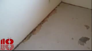 آموزش لمینت کاری به صورت ساده و تضمینی  www.118file.com