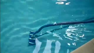 جارو استخر دستی