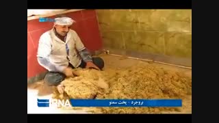 آموزش درست کردن سمنو بروجرد