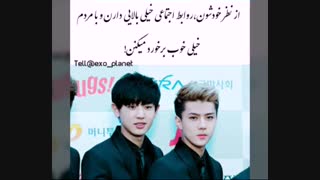 عکس نوشته خنده دار اکسو