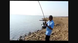 ماهیگیری کپور