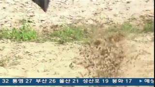 سریال شاه ته جویونگ قسمت دوم با زیرنویس انلاین(درخواستی)