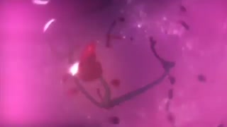 amv  از بیشامون و کازوما