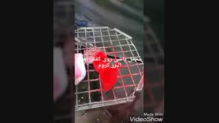 چگونه مخمل پاشی کنیم