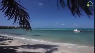 گلیپ زیبای آرامش بخش سواحل دریا