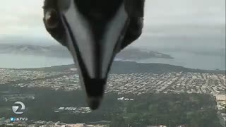 اینجا چه خبره