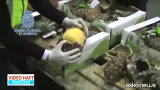 آناناس با طعم کوکائین