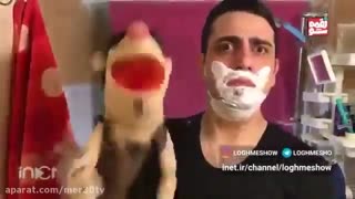 سری جدید لقمه شو