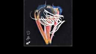 گریه داره ... موزیک باحال هیچکس