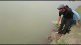 ماهیگیری کپور جذاب