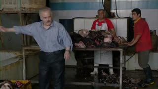 سریال شاهگوش قسمت 1 (ایرانی)