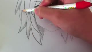 drawing basic manga