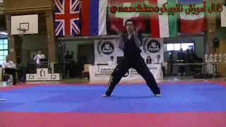 مسابقات جهانی نانچیکو