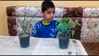 علوم ابتدایی