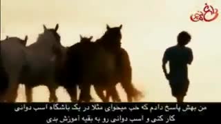 انگیزشی: مسیر شغلی