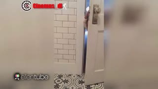 اضطراب جدایی