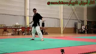 نانچیکو حرفه ای